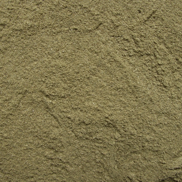 BIO Schachtelhalm (Zinnkraut), gemahlen